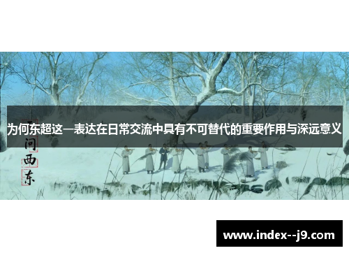 为何东超这一表达在日常交流中具有不可替代的重要作用与深远意义