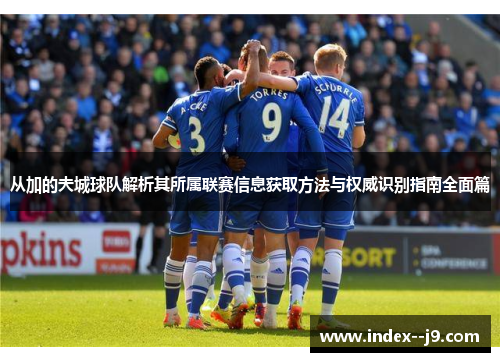 从加的夫城球队解析其所属联赛信息获取方法与权威识别指南全面篇