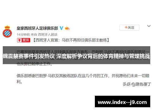 魏震禁赛事件引发热议 深度解析争议背后的体育精神与管理挑战