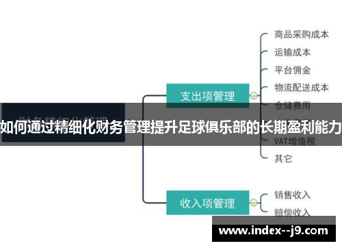 如何通过精细化财务管理提升足球俱乐部的长期盈利能力