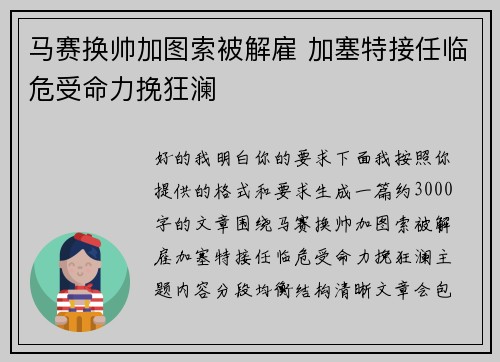 马赛换帅加图索被解雇 加塞特接任临危受命力挽狂澜